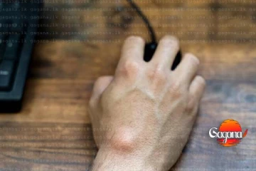 තෙල් ගෙඩි වලට භය වෙන්න ඕනෙද?