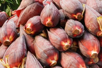 வாழைப்பூவின் மகத்துவமான  மருத்துவ குணங்கள்!