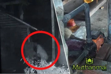 ஏறாவூர் இந்து ஆலயத்தில் கள்வர்கள் கைவரிசை