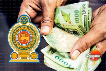 ගොවීන්ට ඇසෙන සුබ පණිවිඩය