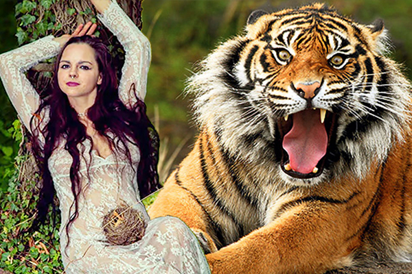 Kisah gadis yang membuat gambar seksi dengan harimau: Buruk di awal Kisah gadis yang membuat gambar seksi dengan harimau: Buruk di awal