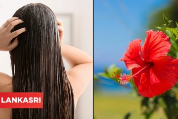 இளநரை, வழுக்கை தவிர்க்கணுமா? செம்பருத்தியை இப்படி பயன்படுத்தி பாருங்க