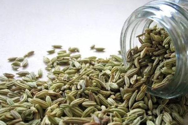 உடல் எடையை எளிதாக குறைக்க வேண்டுமா? அப்போ இதை சாப்பிட்டு பாருங்க! | Weight Loss Tips Fennel Weight Loss Drink