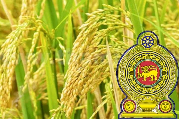 விவசாய துறையில் பின்னடைவை சந்தித்த அரசாங்கத்தின் திட்டம்