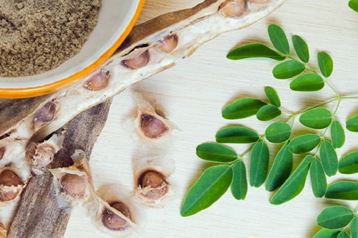 සෞඛ්‍ය ක්ෂේත්‍රයේ විශාල ජයග්‍රහණයක් - ආශ්චර්යමත් ගසේ ඇටවලට තියෙන අරුම පුදුම හැකියාව සොයා ගයි | Moringa Seeds Remove 98 Microplastics