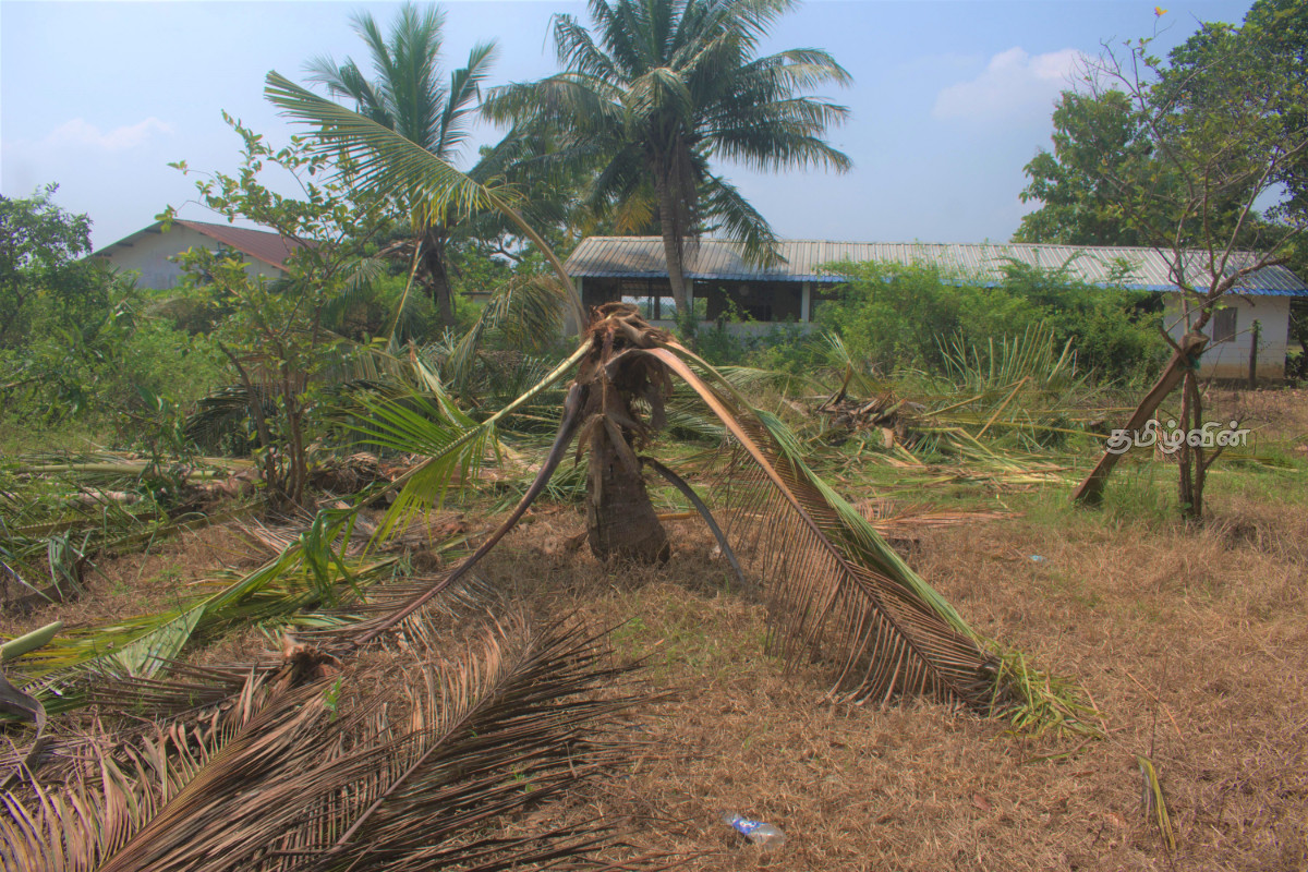 வான்எல - பனிச்சை ஆறு கிராமத்தில் காட்டு யானை அட்டகாசம் | Elephant Attack At Vanela வான்எல - பனிச்சை ஆறு கிராமத்தில் காட்டு யானை அட்டகாசம் | Elephant Attack At Vanela