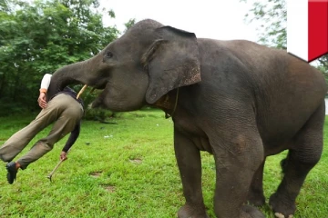 யானை தாக்குதலுக்கு இலக்காகி உயிரிழந்த நபர்!