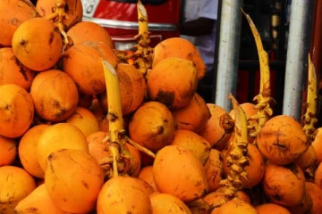 இலங்கையில் இளநீர் ஒன்றின் விலையில் ஏற்பட்டுள்ள பாரிய மாற்றம்!