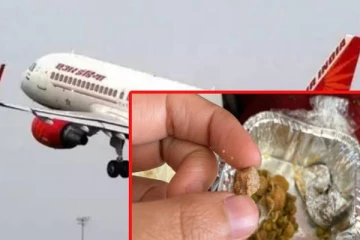 விமானத்தில் பயணிக்கு வழங்கப்பட்ட உணவில் காத்திருந்த அதிர்ச்சி! மன்னிப்புகேட்ட ஏர் இந்தியா