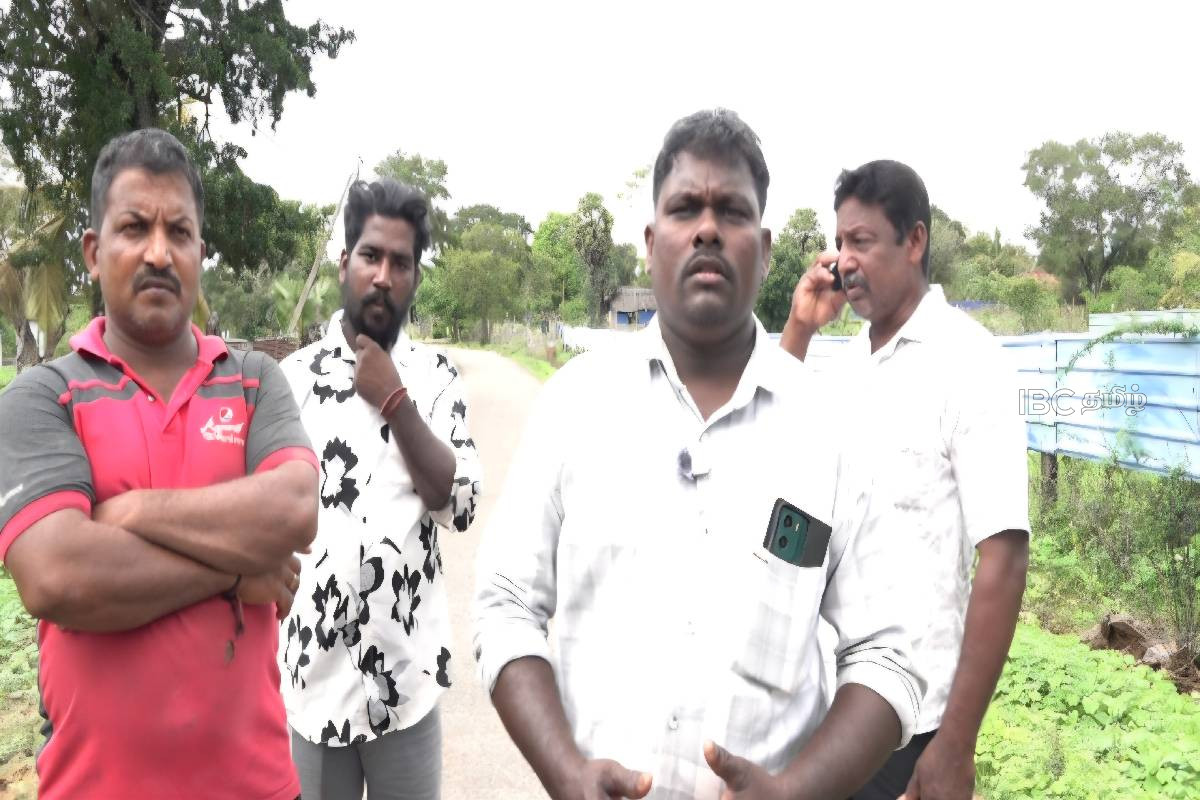 மல்லாவிப் பகுதியில் அதிகரிக்கும் காட்டு யானைகளின் அட்டகாசம் : கட்டுப்படுத்துமாறு மக்கள் கோரிக்கை | Escalating Menace Of Wild Elephants In Mallavi மல்லாவிப் பகுதியில் அதிகரிக்கும் காட்டு யானைகளின் அட்டகாசம் : கட்டுப்படுத்துமாறு மக்கள் கோரிக்கை | Escalating Menace Of Wild Elephants In Mallavi