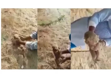 பாகிஸ்தான் வெள்ளத்தில் அடித்து செல்லப்பட்ட குழந்தை உயிருடன் மீட்பு - பதற வைக்கும் வீடியோ...!