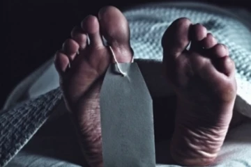 විදුලි කණුවක් හිස මතට වැටීමෙන් පුද්ගලයෙක් ජිවිතක්ෂයට..