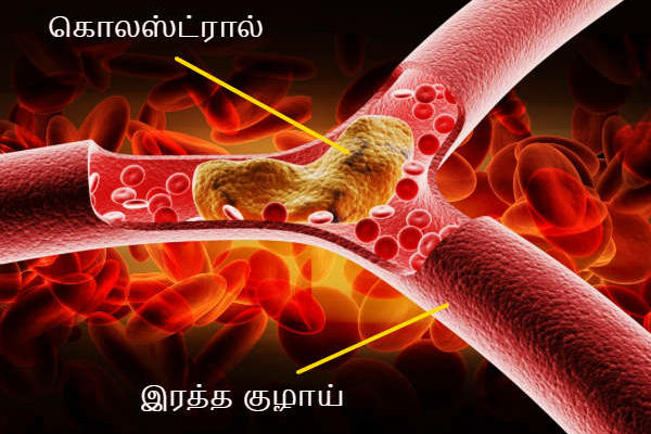 கறிவேப்பிலை நீரை காலையில் வெறும் வயிற்றில் குடிப்பதால் இத்தனை நன்மைகளா? | Many Benefits To Drinking Curry Leaf Water