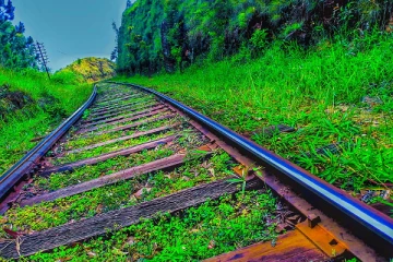 பழைய இரும்புகளை விற்று டொலர் தேடும் இலங்கை!