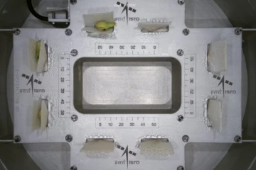 விண்வெளியில் முளைத்த இந்தியாவின் விதை - காராமணியை இஸ்ரோ தேர்வு செய்தது ஏன்?