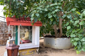 கச்சத்தீவில் மறைத்து வைக்கப்பட்டிருந்த புத்தர் சிலைகள்! விடுக்கப்பட்டுள்ள கோரிக்கை