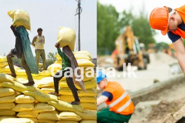 වැඩකරන දින ගණන සහ පැය ගණන වෙනස් කිරීමට සැරසෙයි - දරු උපතකදී පියවරුන්ටත් නිවාඩු