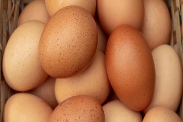 முட்டை விலை தொடர்பில் வெளியான தகவல்
