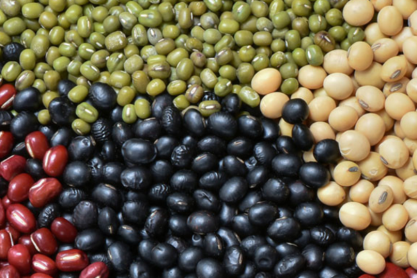 முளைக்கட்டிய பயறுகளில் இவ்வளவு நன்மைகளா! | So Many Benefits In Sprouted Legumes