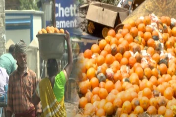குப்பைகளில் இருந்து அள்ளி வந்து விற்கப்படும் ஆரஞ்சு பழம் - உயிருக்கே ஆபத்து...உஷார்..!