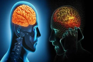 மூளையை பாதிக்கும் செல்போன் பாவனை புற்றுநோயையும் ஏற்பத்துமா? உண்மையை தெரிஞ்சிக்கோங்க