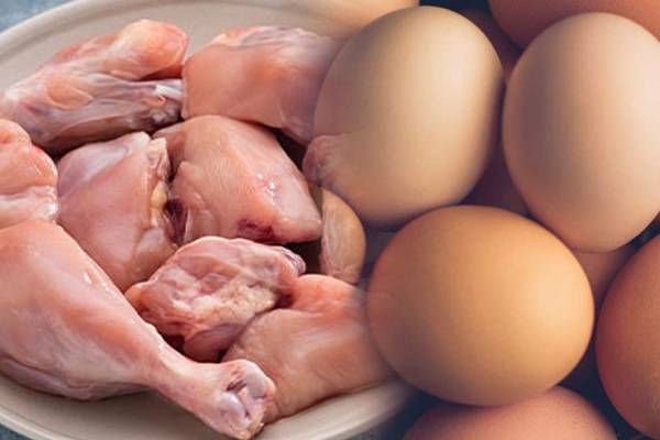 முட்டை மற்றும் கோழியிறைச்சியின் விலை குறித்து இன்று ஆராய்வு | Research On Egg And Poultry Prices Today
