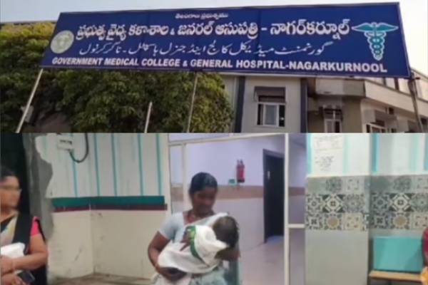 பிறந்து 40 நாள்தான்; எலியால் பறிப்போன பச்சிளம் குழந்தையின் உயிர் - அதிர்ச்சி பின்னணி! - தமிழ்நாடு