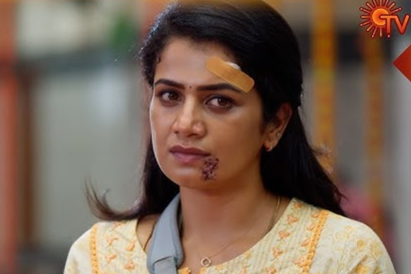 TRP-வில் புதிய உச்சத்தை தொட்ட எதிர்நீச்சல் சீரியல்.. இதுவரை இவ்வளவு ரேட்டிங் வந்ததே இல்லை | Ethirneechal Thodargiradhu Serial Trp Rating