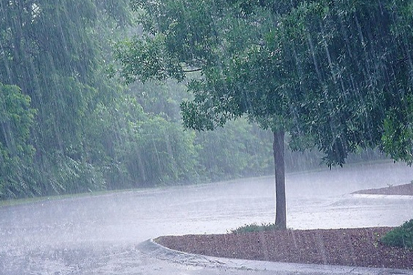 இன்றைய தினத்துக்கான வானிலை அறிக்கை | Today Weather Condition