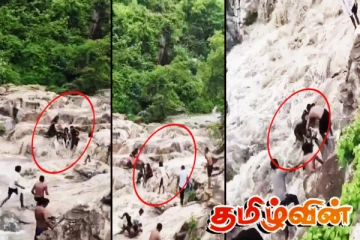 பீகாரில் திடீர் வெள்ளப்பெருக்கு! நூலிழையில் உயிர் தப்பிய ஆறு பெண்கள்!