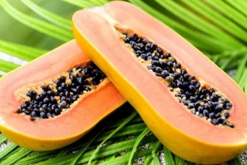 இந்த பழத்தை அதிகமாக சாப்பிட்டால் என்ன ஆகும் தெரியுமா?