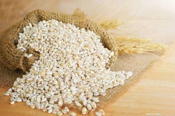 பில்லியன் டொலர் வர்த்தகம்... அவுஸ்திரேலிய பார்லி மீதான வரியை கைவிட்ட நாடு