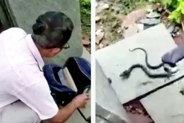 மாணவியின் பைக்குள் காத்திருந்த ஆபத்து...திடீரென்று படமெடுத்த நாகப்பாம்பு