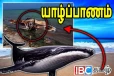 யாழில் கரையொதுங்கிய ராட்சத திமிங்கலம்