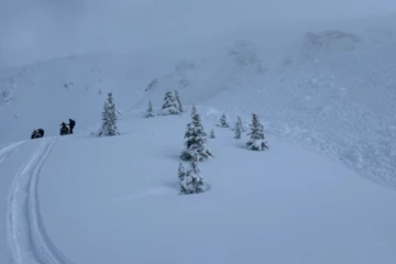 பிரிட்டிஷ் கொலம்பியாவில் பனிமலைச் சரிவில் சிக்கி 4 பேர் காயம்