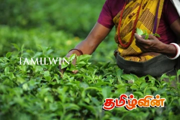 தோட்டத் தொழிலாளர்களுக்கு அளித்த வாக்குறுதிகளை நிறைவேற்றாத அரசாங்கம் : சாடும் முன்னாள் எம்.பி