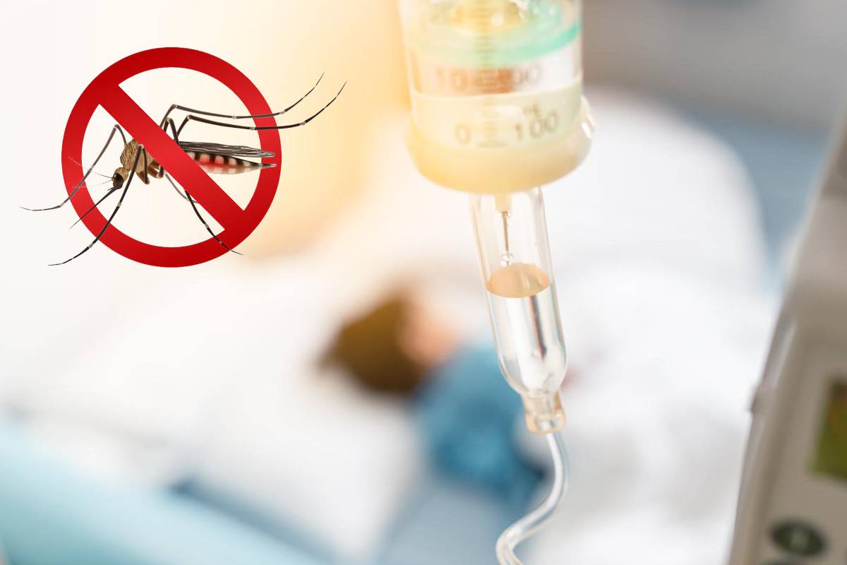 இலங்கை முழுவதும் தீவிரமடையும் டெங்கு நோய் தொற்று | Dengue Outbreak Intensifies Across Sri Lanka இலங்கை முழுவதும் தீவிரமடையும் டெங்கு நோய் தொற்று | Dengue Outbreak Intensifies Across Sri Lanka