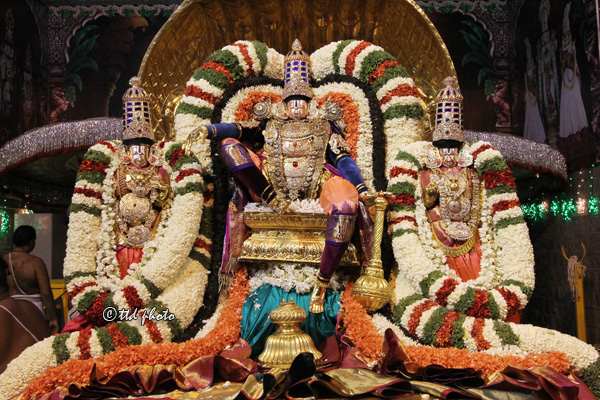 திருப்பதி செல்லும் பக்தர்களே உஷார்- தெரியாமல் இதில் சிக்கிக்கொள்ளாதீர்கள் | Tirupati Vip Ticket Scam In Blackmarket News