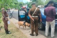 கந்தளாயில் மோப்ப நாய்கள் உதவியுடன் திடீர் வாகன சோதனை..!