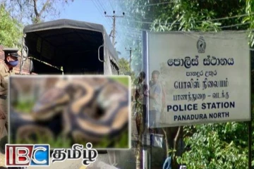 வீடொன்றின் வாகனத் தரிப்பிடத்தில் கண்டுபிடிக்கப்பட்ட மலைப்பாம்பு