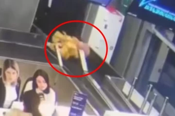 ரஷ்ய விமான நிலையில் பேக்கேஜ் பெல்ட்டில் பயணம் செய்த மூதாட்டி: இணையத்தில் வைரலான வீடியோ!