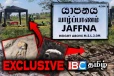 செம்மணியில் புதைக்கப்பட்ட தமிழர்கள் - வெளியான அதிர்ச்சியூட்டும் தகவல்கள்