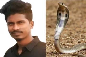 திருமண கனவில் இருந்த புதுமாப்பிள்ளைக்கு பாம்பினால் நேர்ந்த கதி!