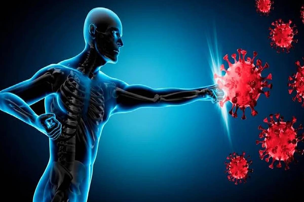 தினமும் ஆவியில் வேக வைத்த 1 நெல்லிக்காயை சாப்பிடுவதால் என்னென்ன நன்மைகள் கிடைக்கும் தெரியுமா? | Vega Vaithta Nellikai Sapituvathal Kitaikum Nanmai