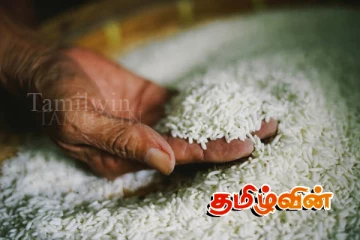 இலங்கையில் மீண்டும் அரிசிக்கு தட்டுப்பாடு!