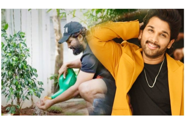 சுற்றுச்சூழல் தினம் - மரக்கன்று நட்ட அல்லு அர்ஜூன்! | Cinema சுற்றுச்சூழல் தினம் - மரக்கன்று நட்ட அல்லு அர்ஜூன்! | Cinema