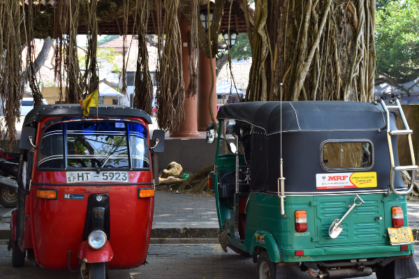 எரிபொருள் விலை குறைந்தாலும் இவற்றில் மாற்றம் இல்லையாம்! | Price Of Fuel Is Reduced There Is No Change