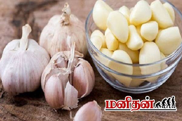 பூண்டை பச்சையாக மென்று சாப்பிட்டால் என்ன நடக்கும்? 30 நாட்கள் முயற்சி! | Garlic At Morning Time For 30 Days Benefits பூண்டை பச்சையாக மென்று சாப்பிட்டால் என்ன நடக்கும்? 30 நாட்கள் முயற்சி! | Garlic At Morning Time For 30 Days Benefits