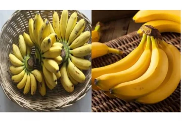 வாழ்நாள் முழுவதும் இதய நோய், சிறுநீரக பிரச்சினை வராமல் இருக்கணுமா? வாழைப்பழம் செய்யும் அற்புதம்!