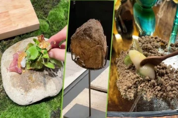 யானைச் சாணத்திலிருந்து தயாரிக்கப்படும் இனிப்பு: சர்ச்சையை உருவாக்கியுள்ள உணவகம்